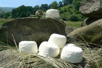 Queso fresco. Foto: www.vallespasiegos.org
